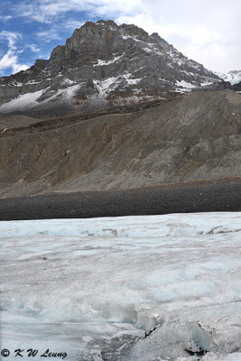 Columbia Icefield Glacier DSC_2644