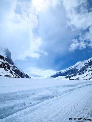 Columbia Icefield Glacier P5150423