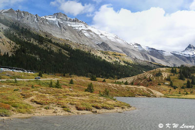 Columbia Icefield Glacier DSC_2695