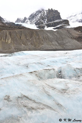 Columbia Icefield Glacier DSC_2669