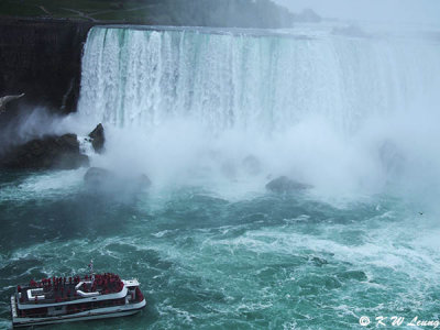 Niagara Falls P5200813