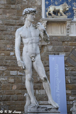 Replica of statue of David outside Palazzo Vecchio DSC_3779