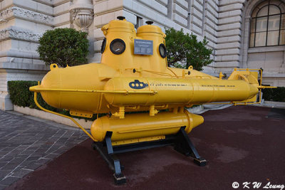 Yellow Submarine DSC_3616