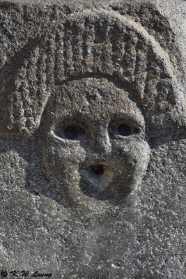 The face of a water fountain DSC_4112