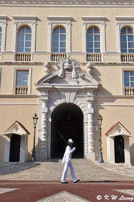 Palace guard, Palais Princier de Monaco DSC_3656