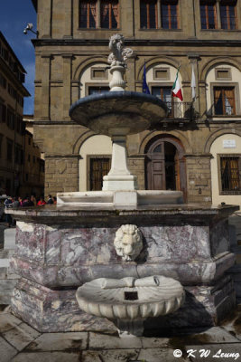 Fontana di Piazza Santa Croce DSC_3801