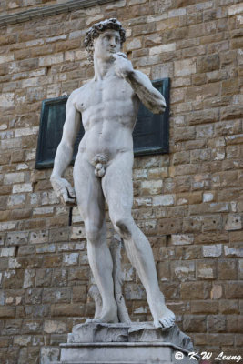 Replica of statue of David outside Palazzo Vecchio DSC_3775
