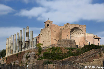 Ruins on the Palatine Hill DSC_3908