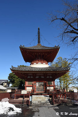 Tahoto Tower, Kita-in Temple DSC_5683