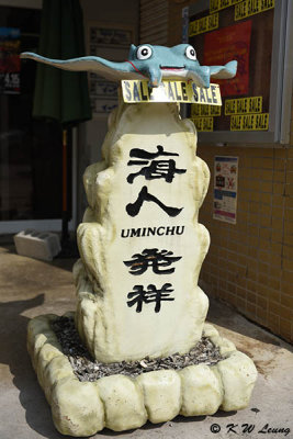 Sign of Uminchu DSC_6959