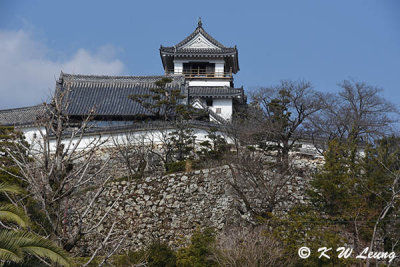 Kochi Castle DSC_6290