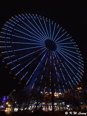 Tempozan Ferris Wheel DSC_6210
