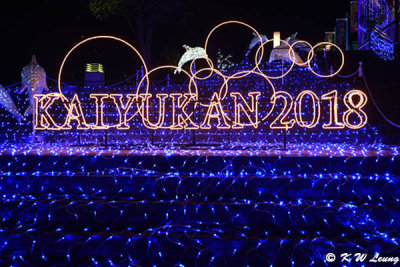 Kaiyukan 2018 DSC_6213