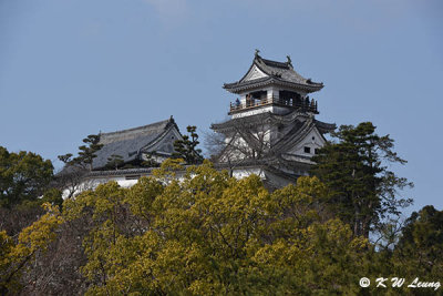 Kochi Castle DSC_6293