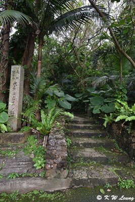 Yonehara Tropical Forest DSC_6930