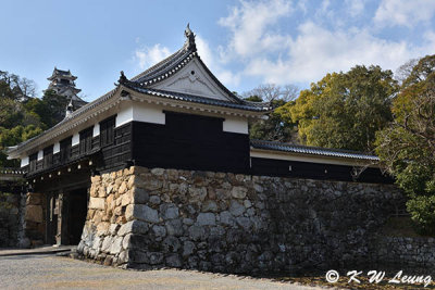 Kochi Castle DSC_6306