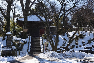 Jigendo, Kita-in Temple DSC_5685