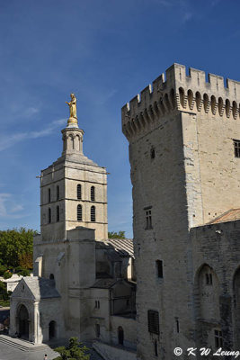 Palais des Papes and Notre-Dame des Doms d'Avignon DSC_7321
