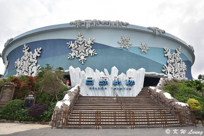 Beluga Theater DSC_0450
