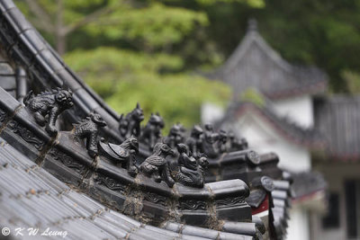 Danfu Courtyard DSC_1870