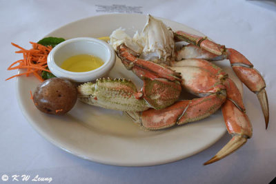 Crab @ George Inlet Lodge DSC_3755