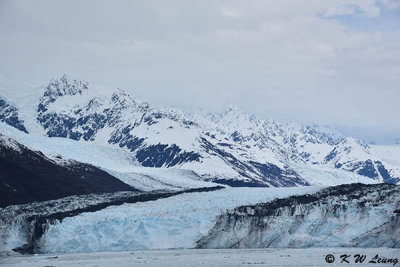 Hubbard Glacier DSC_5252