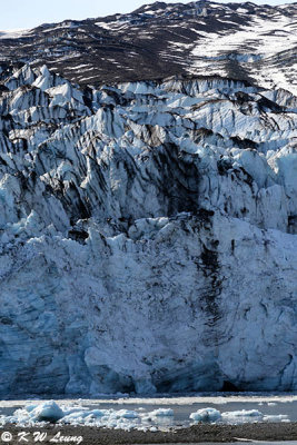 Close up of glacier DSC_4703