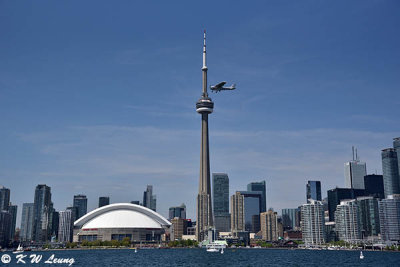 Toronto skyline DSC_6300