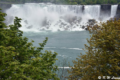 Niagara Falls DSC_6469