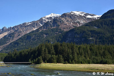 Haines DSC_4293