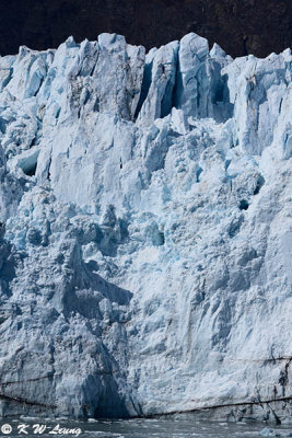 Grand Pacific Glacier DSC_4819