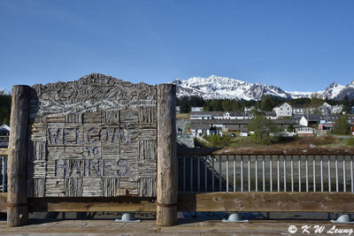 Welcome to Haines DSC_4234