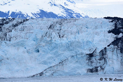 Hubbard Glacier DSC_5238