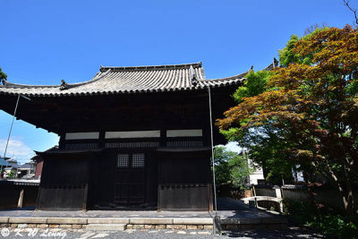 Ankokuji Temple DSC_7505