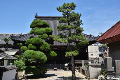 Zengyoji Temple DSC_7499