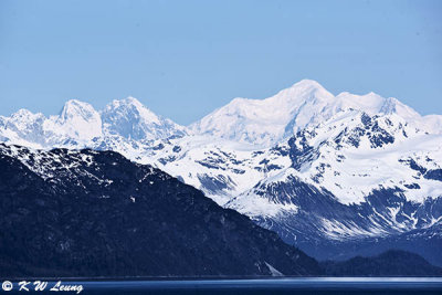 Glacier Bay DSC_4615