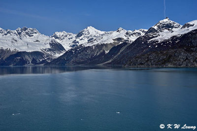 Glacier Bay DSC_4667