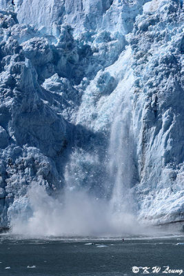 Ice falling, Grand Pacific Glacier DSC_4949