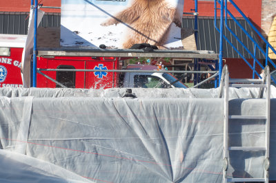 DSC_2284.jpg