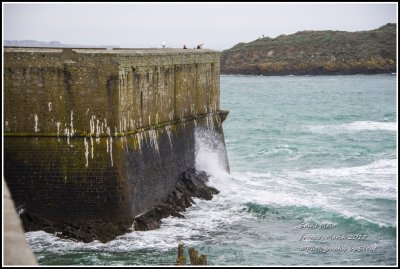 DSC_9094A.jpg