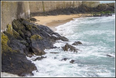 DSC_9101A.jpg