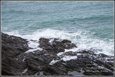 DSC_9107A.jpg
