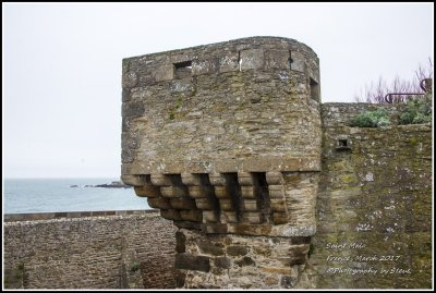 DSC_9108A.jpg