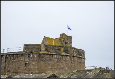 DSC_9130A.jpg