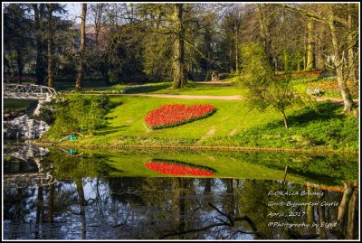 DSC_9170A.jpg