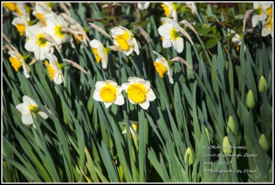 DSC_9188A.jpg