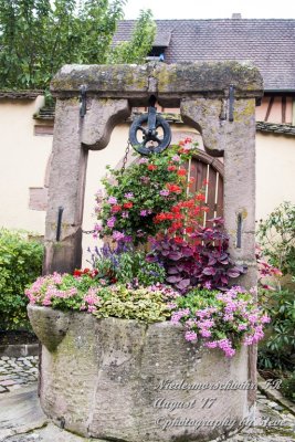 DSC_0027A.jpg