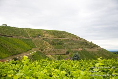 DSC_0042A.jpg