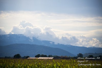 DSC_0405A.jpg