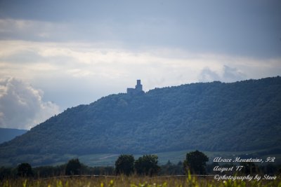 DSC_0406A.jpg